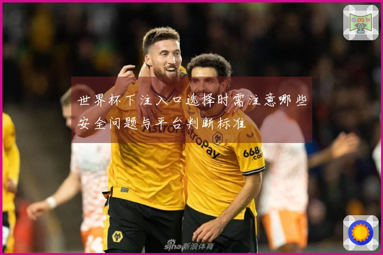 世界杯下注入口选择时需注意哪些安全问题与平台判断标准