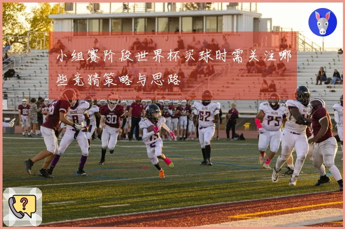 小组赛阶段世界杯买球时需关注哪些竞猜策略与思路