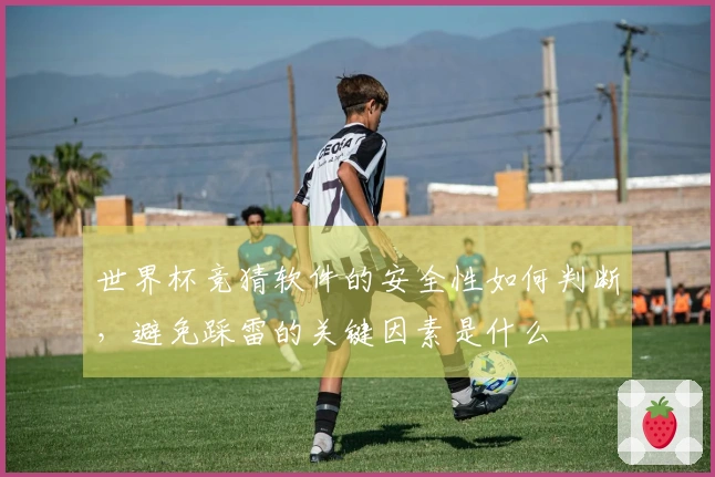 世界杯竞猜软件的安全性如何判断，避免踩雷的关键因素是什么