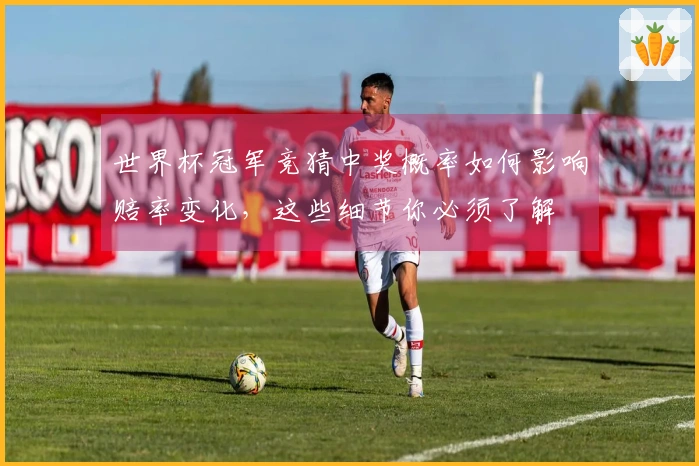 世界杯冠军竞猜中奖概率如何影响赔率变化，这些细节你必须了解