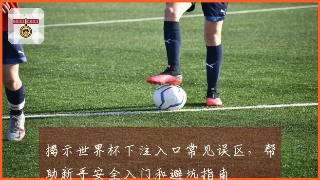 揭示世界杯下注入口常见误区，帮助新手安全入门和避坑指南
