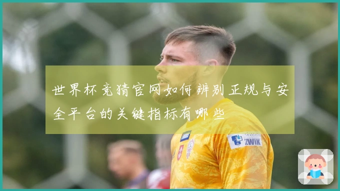 世界杯竞猜官网如何辨别正规与安全平台的关键指标有哪些