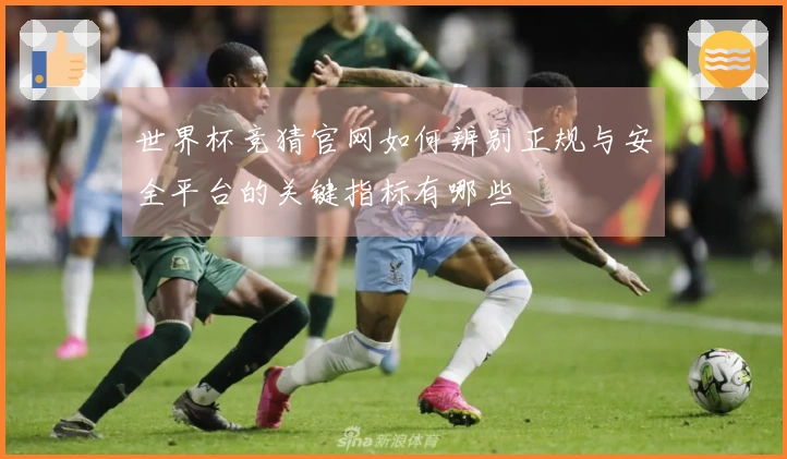 世界杯竞猜官网如何辨别正规与安全平台的关键指标有哪些